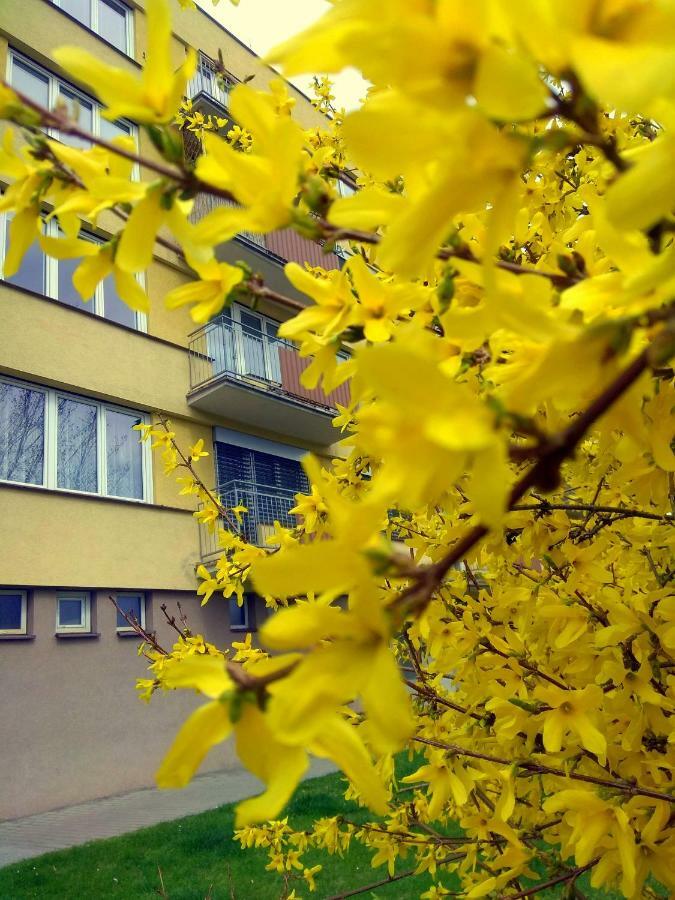 The Best Castle View-Bus Station, Parking, Center Чески-Крумлов Экстерьер фото